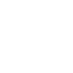 Icône de téléphone blanc